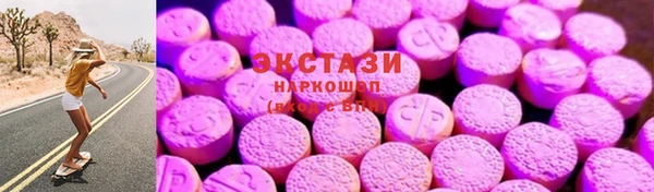 ECSTASY Ельня