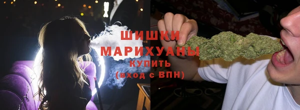 ECSTASY Ельня