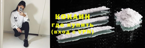 ECSTASY Ельня