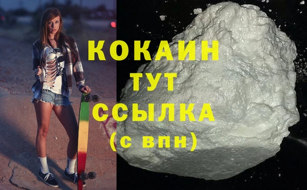 ECSTASY Ельня