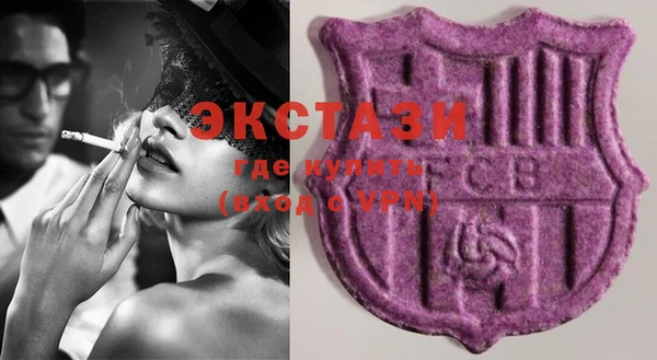 ECSTASY Ельня