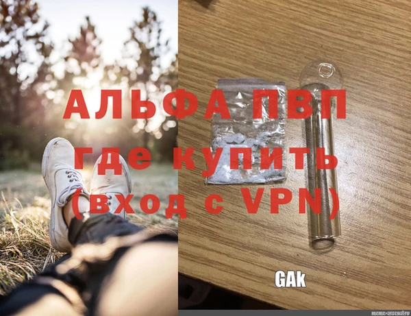 ECSTASY Ельня