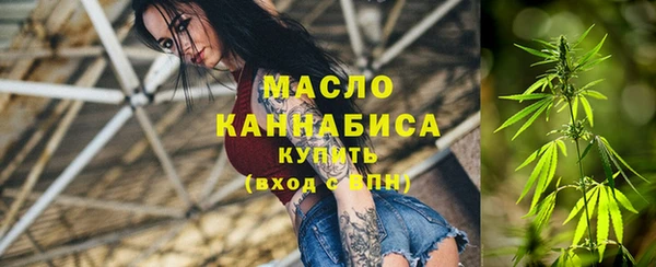 ECSTASY Ельня