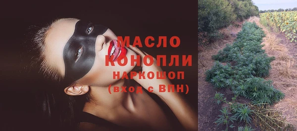 ECSTASY Ельня